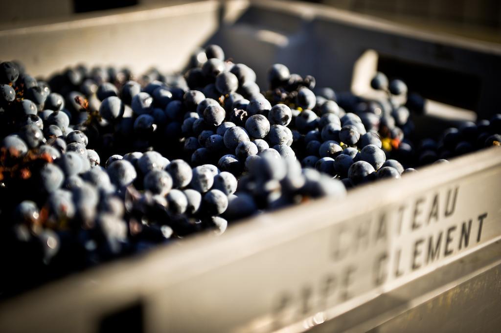 Chateau Pape Clement Pessac Ngoại thất bức ảnh